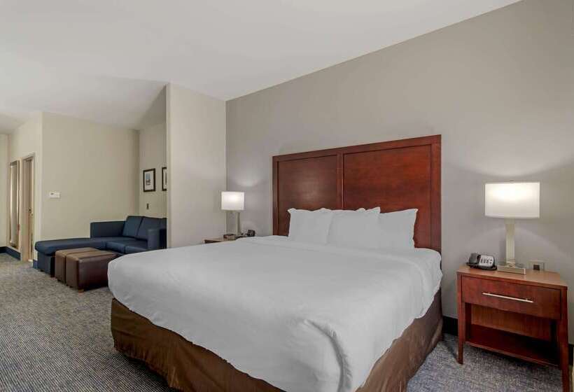 هتل Comfort Suites Stockbridge Atlanta South