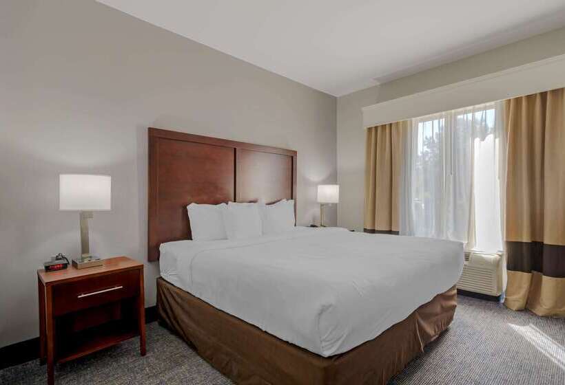 هتل Comfort Suites Stockbridge Atlanta South
