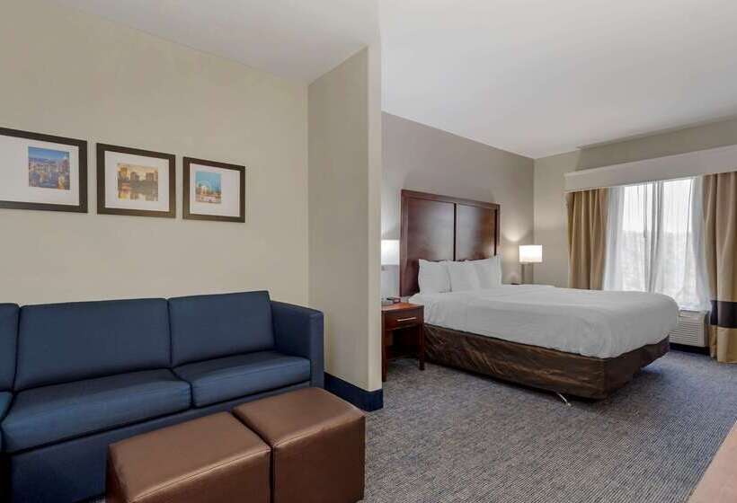 هتل Comfort Suites Stockbridge Atlanta South