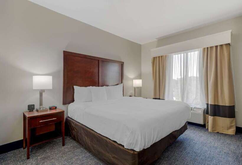 هتل Comfort Suites Stockbridge Atlanta South