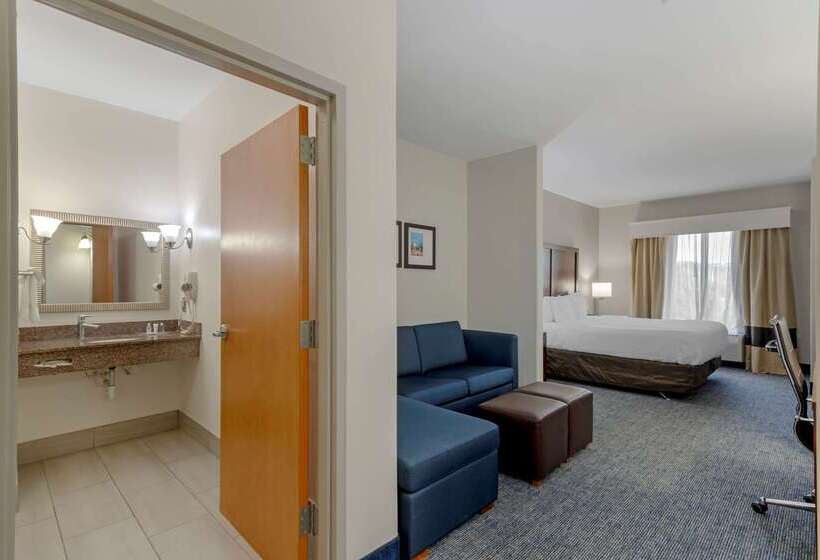 هتل Comfort Suites Stockbridge Atlanta South