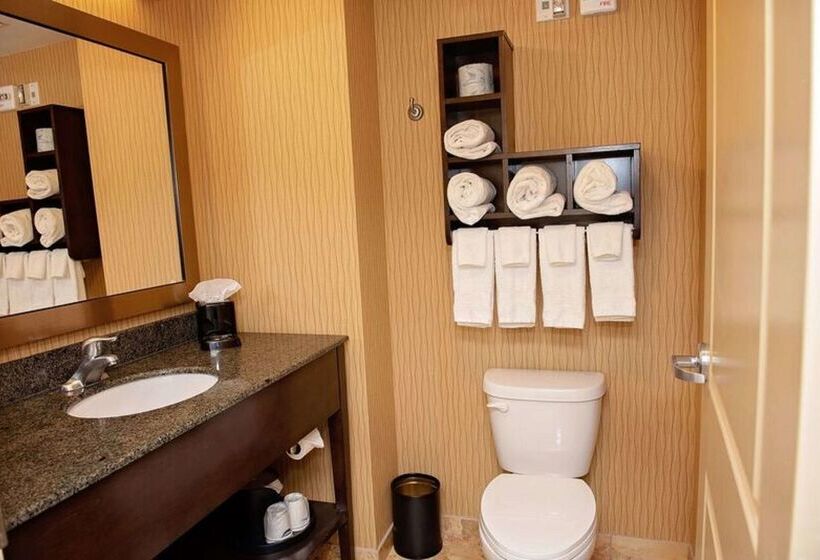 בית מלון כפרי Hampton Inn & Suites Bradenton Downtown Historic District