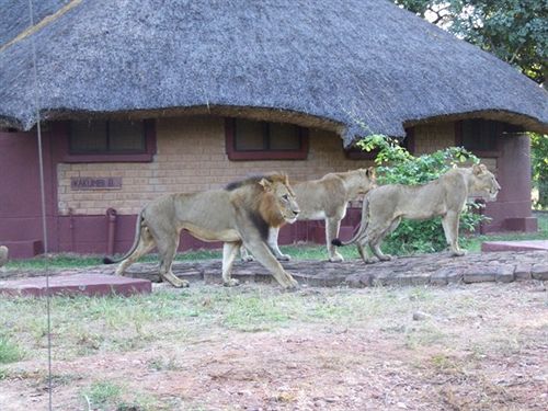 فندق Mushroom Lodge