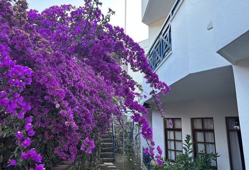 هتل Naturella Apart