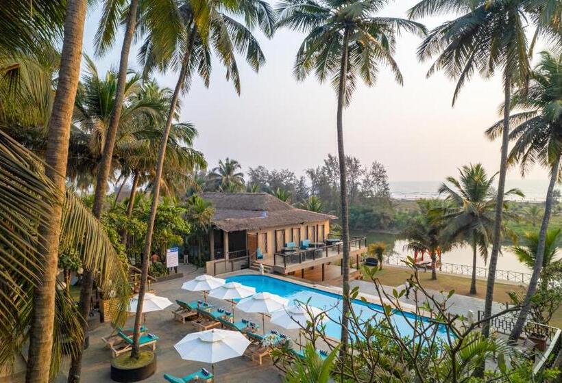 هتل Riva Beach Resort