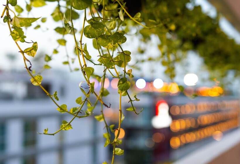 Fotos del hotel Soho Playa:  35