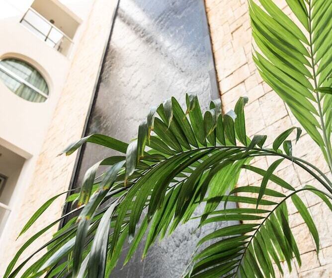 Fotos del hotel Soho Playa:  22