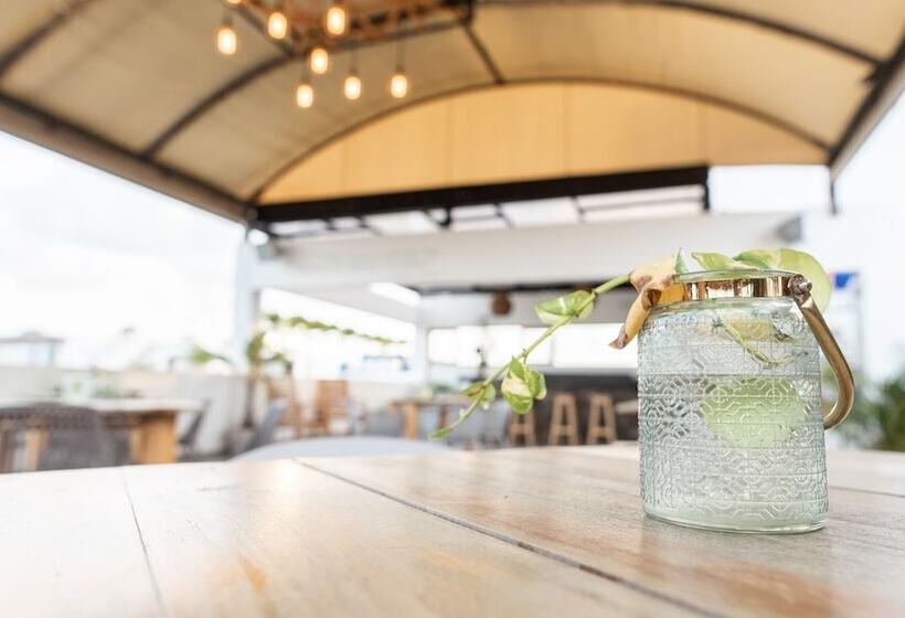 Fotos del hotel Soho Playa:  6