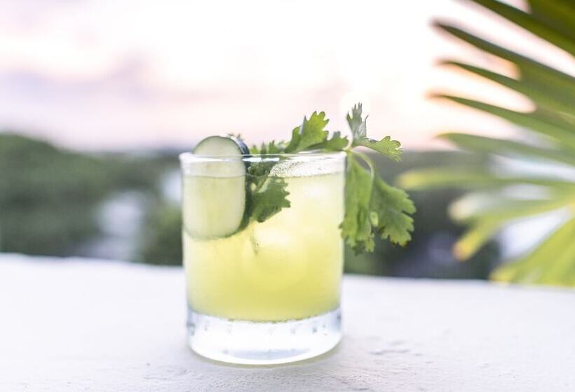 Fotos del hotel Soho Playa:  13