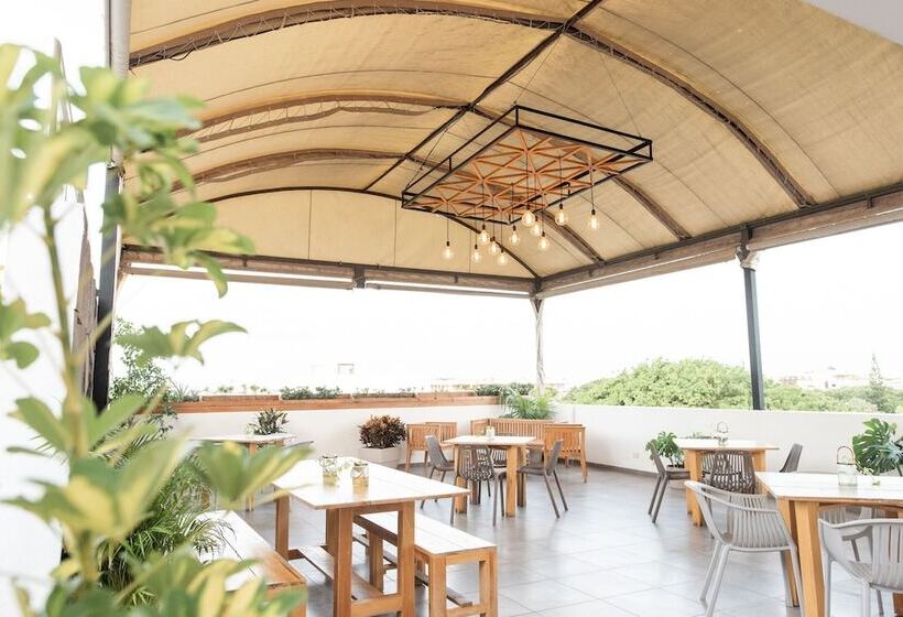 Fotos del hotel Soho Playa:  11