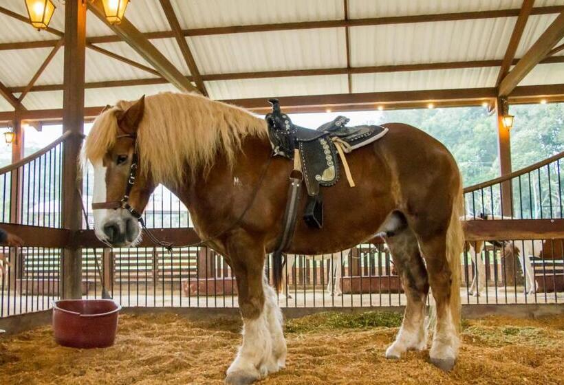 هتل Mesa De Los Santos