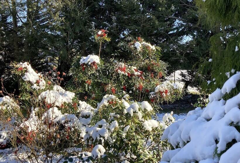 住宿加早餐  Purcellville Home