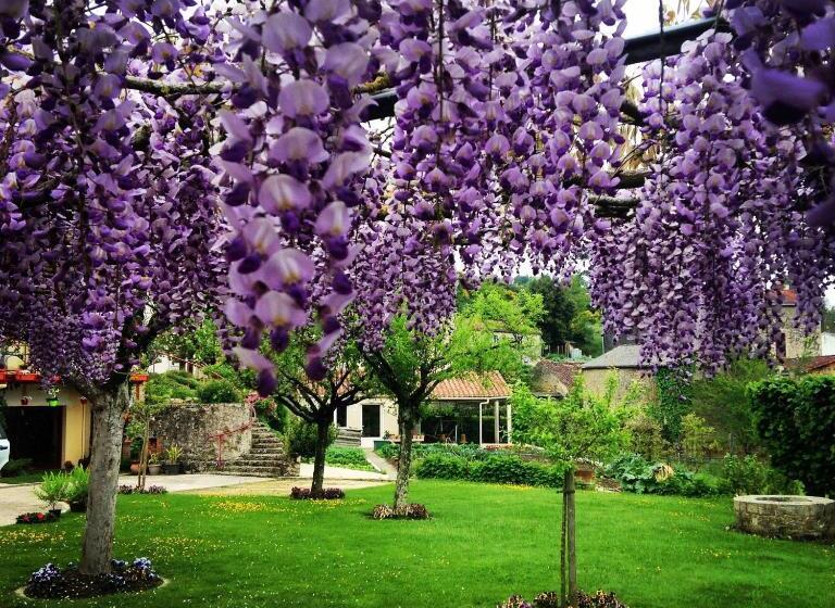 Bed and Breakfast Chambres Au Jardin Fleuri