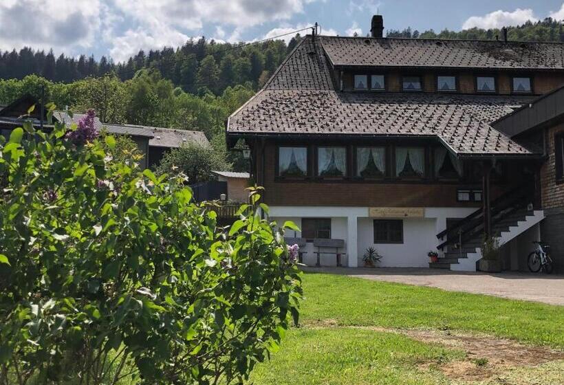 هتل Das Schwarzwald