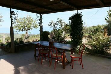 B&b Il Vigneto