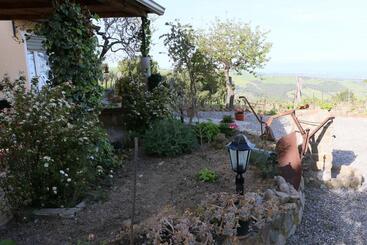 B&b Il Vigneto