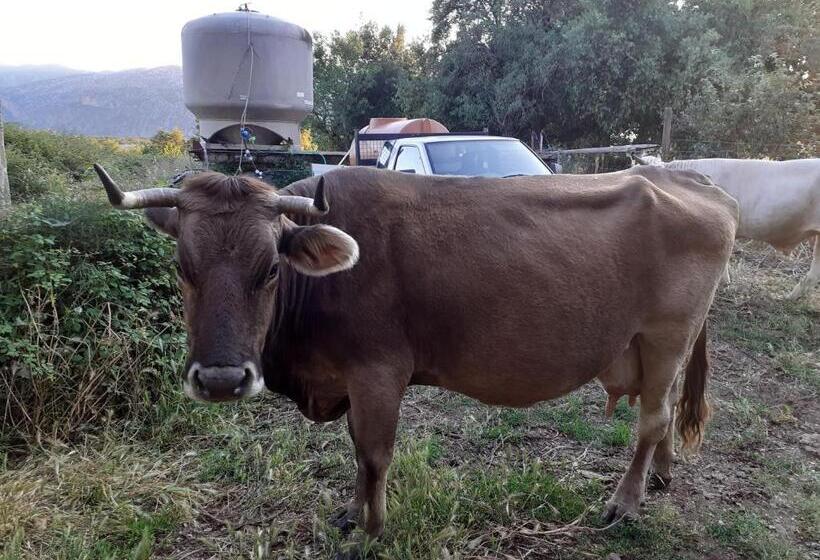 هتل Agriturismo Codula Fuili
