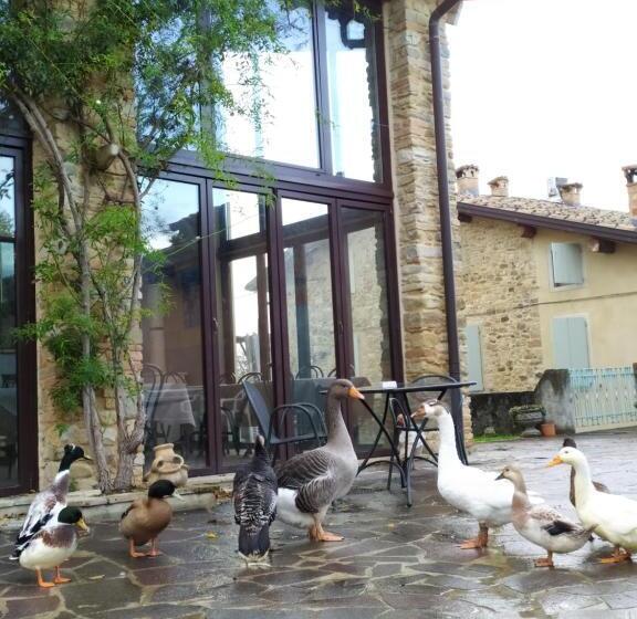 فندق Agriturismo Il Gelso