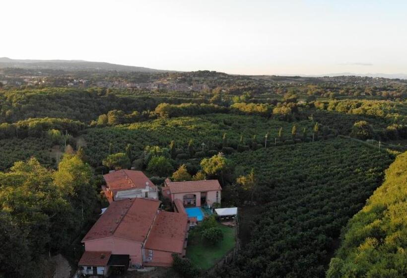 酒店 Agriturismo Montefosco