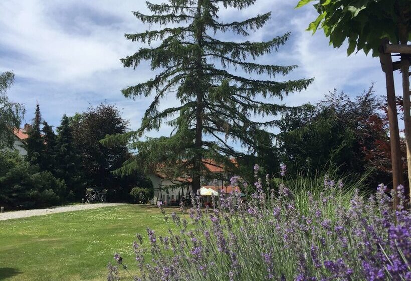 Fotos del hotel Alt Pension:  4