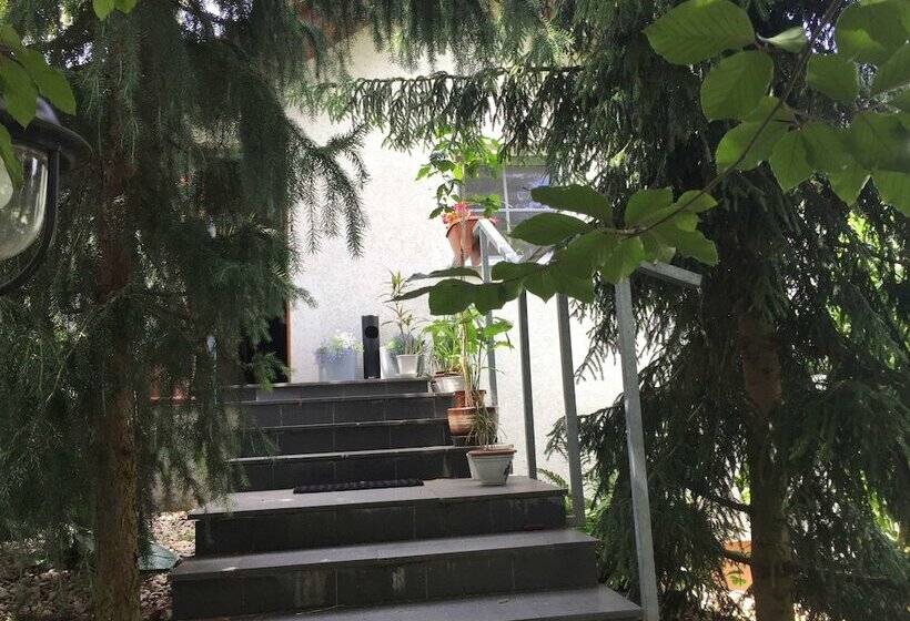 Fotos del hotel Alt Pension:  8