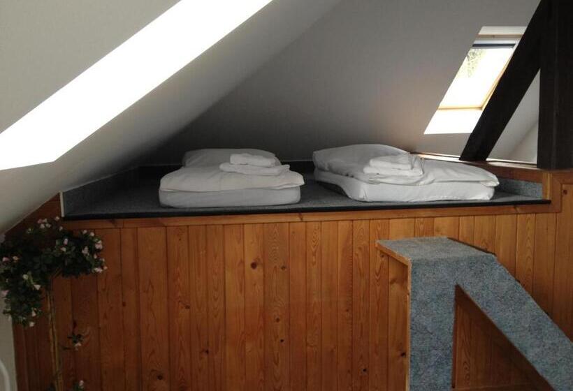 Fotos del hotel Pension Filip:  29