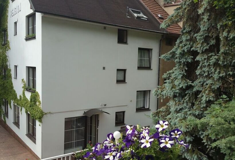 Fotos del hotel Pension Kern:  7