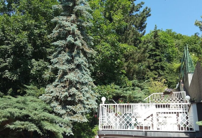 Fotos del hotel Pension Kern:  17