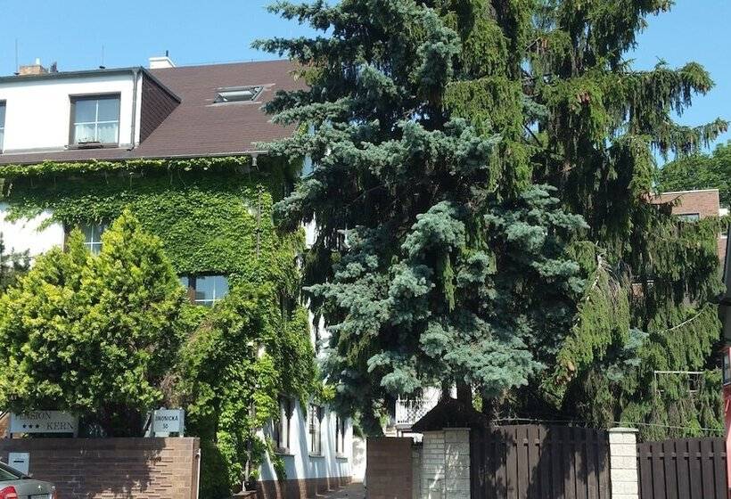 Fotos del hotel Pension Kern:  14