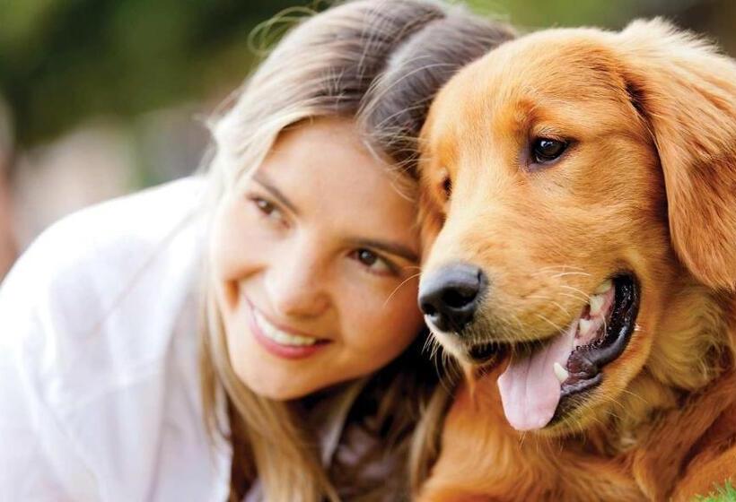 Fotos del hotel Susa:  14