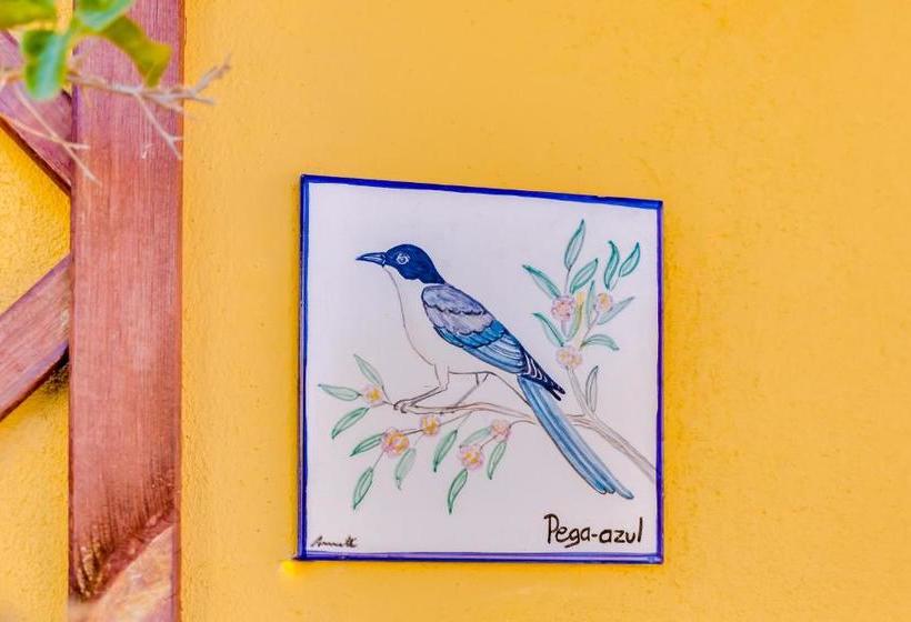 Quinta Almargem Lusitano   Farm House