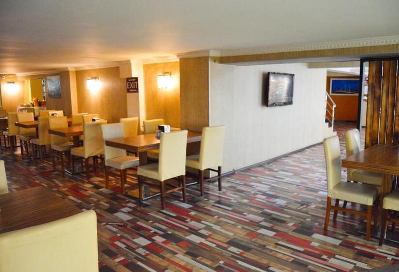 Fotos del hotel Comfort Life:  9