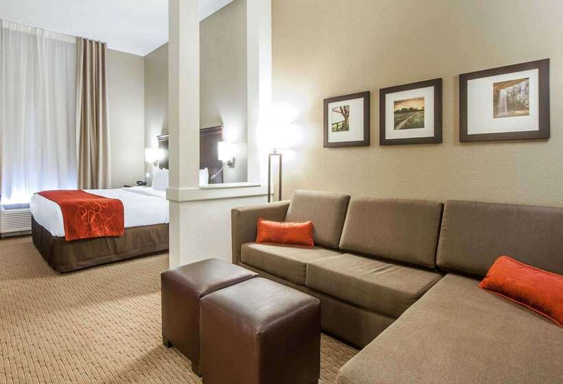هتل Comfort Suites Marietta Parkersburg