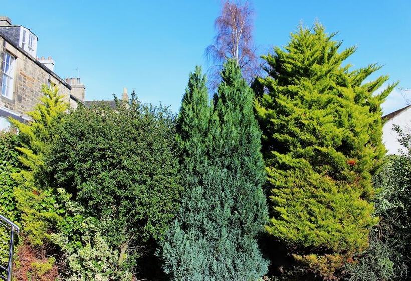 Fotos del hotel Culane House Hotel  B&b:  10