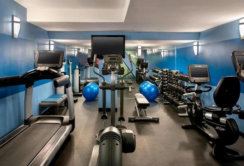 Fotos del hotel Four Points By Sheraton Manhattan Soho Village:  9