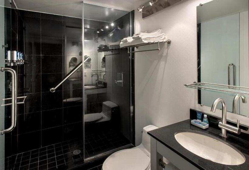 Fotos del hotel Four Points By Sheraton Manhattan Soho Village:  6