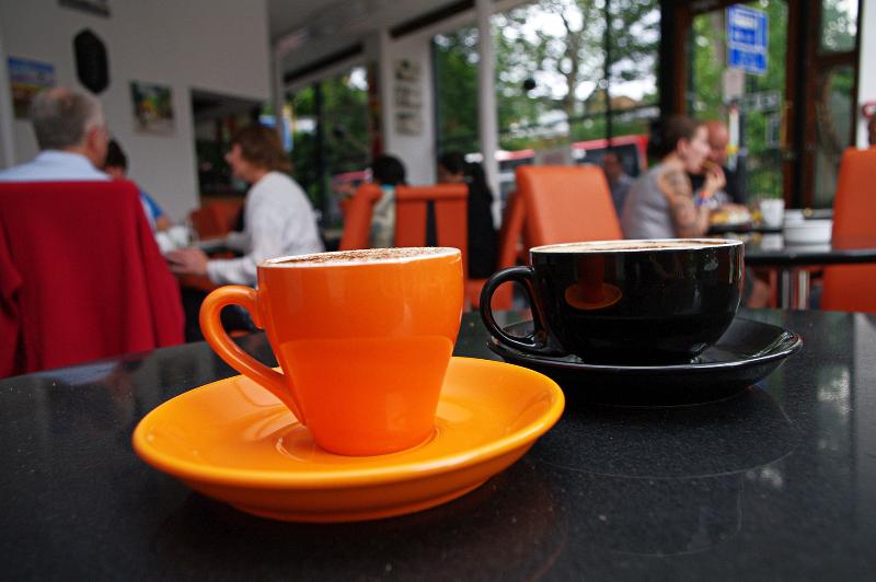 Fotos del hotel Islington Inn:  5