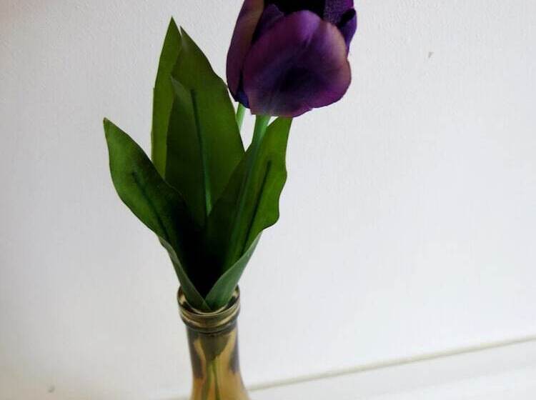 Fotos del hotel Kibi Rooms:  60