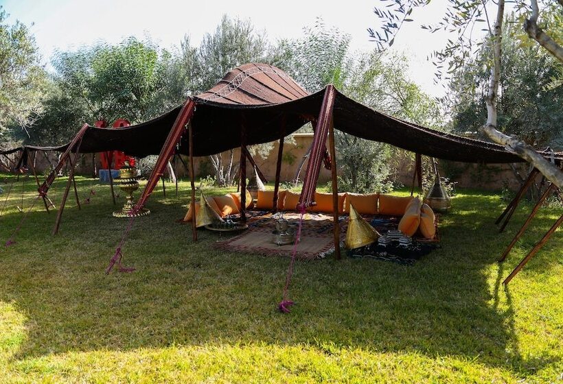 Fotos del hotel Le Clos Des Oliviers By Kmv:  13
