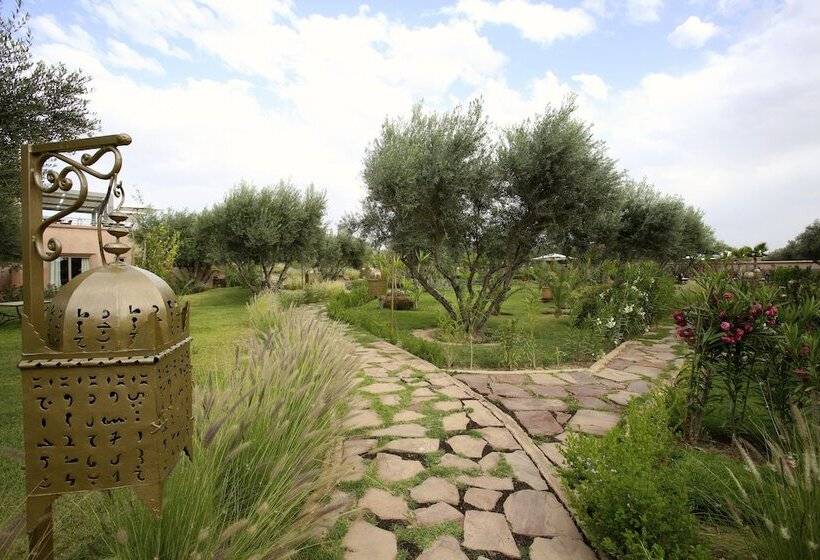 Fotos del hotel Le Clos Des Oliviers By Kmv:  26