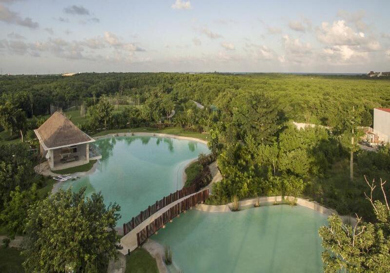 Fotos del hotel Platinum Yucatan Princess Adults Only - All Inclusive:  12