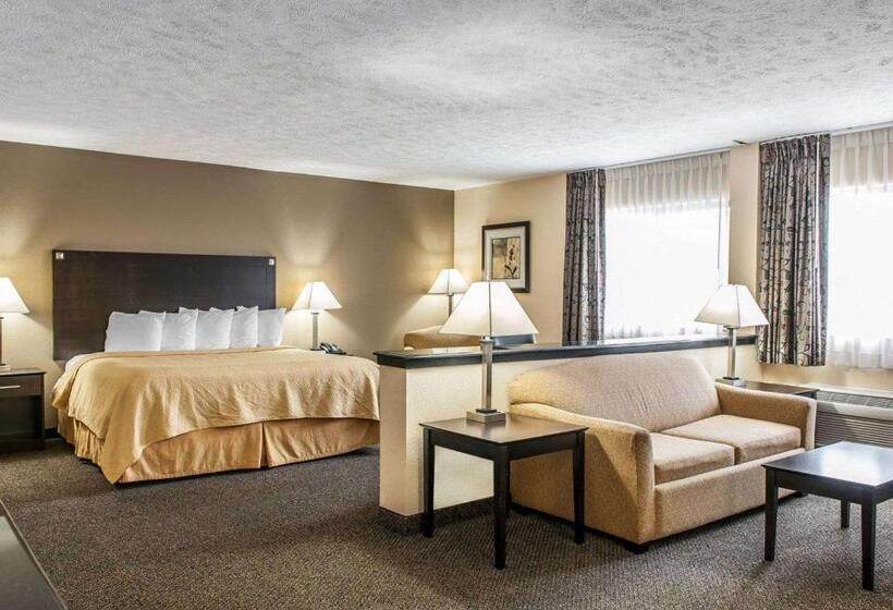 فندق Quality Inn & Suites