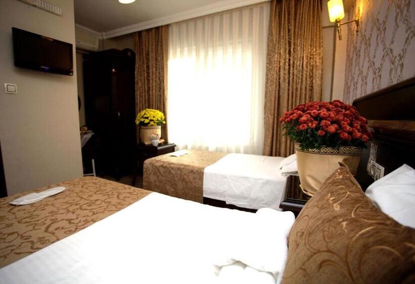 Fotos del hotel Sultanahmet Park:  3