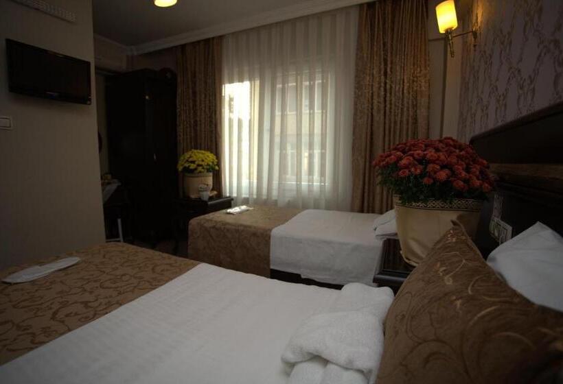 Fotos del hotel Sultanahmet Park:  7