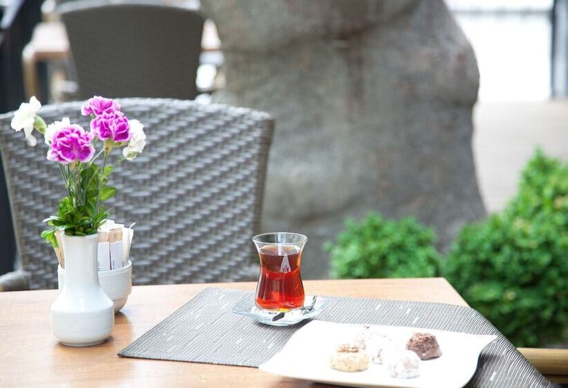 Fotos del hotel The Parma  & Spa Taksim:  14