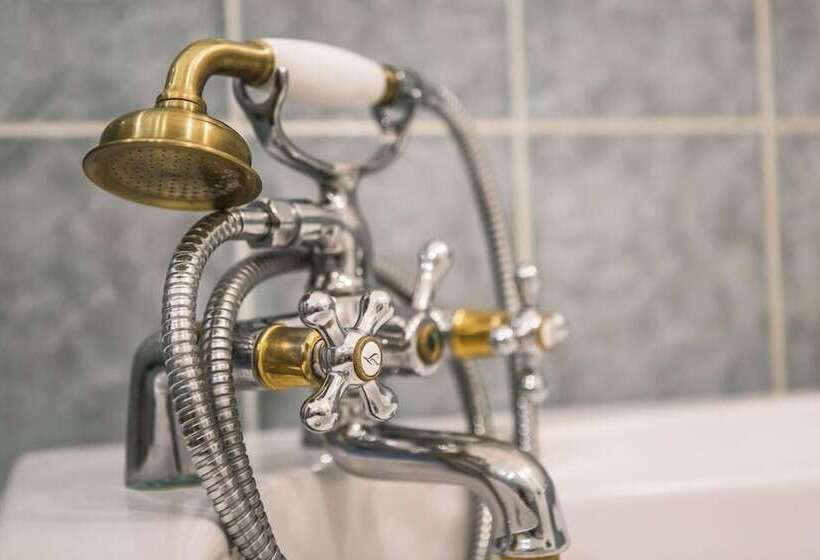 Fotos del hotel U Zlateho Jelena:  45