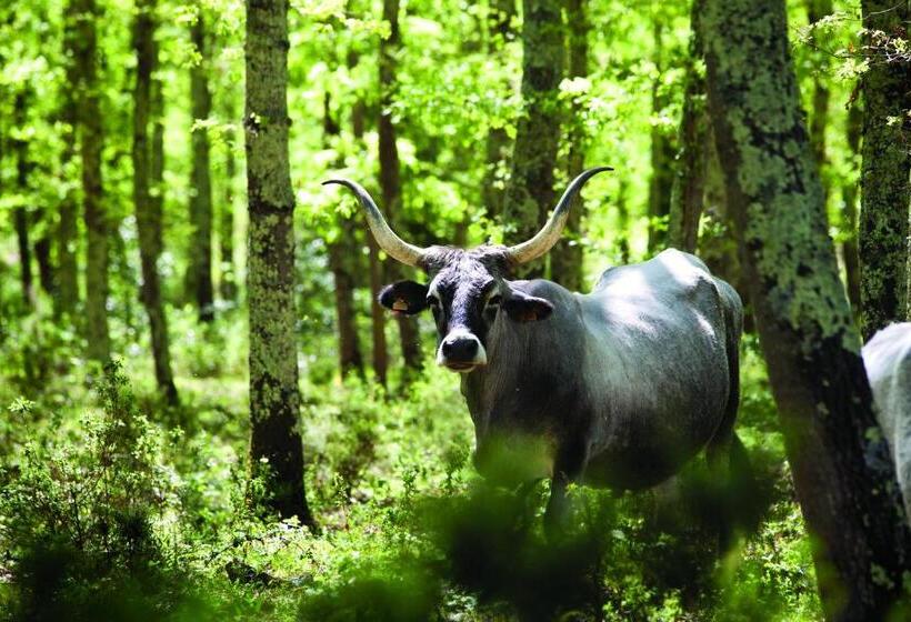 호텔 Agriturismo Biologico Sant Egle