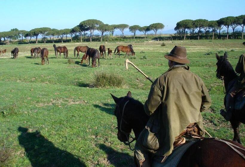 호텔 Agriturismo Biologico Sant Egle