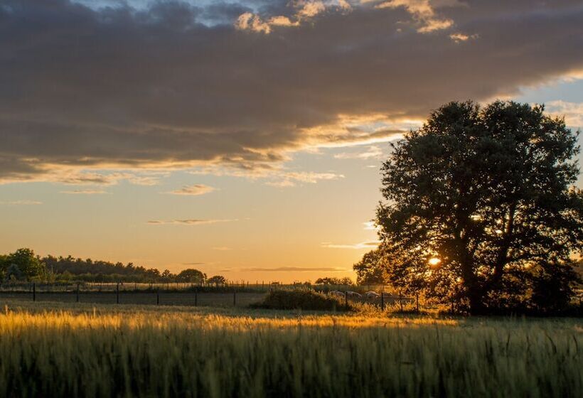 호텔 Agriturismo Biologico Sant Egle