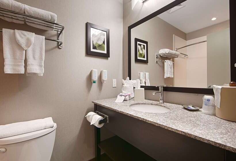 هتل Best Western Plus Fergus
